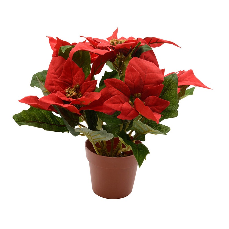 Pianta Decorativa Lifetime Rosso Stella di Natale  27 cm
