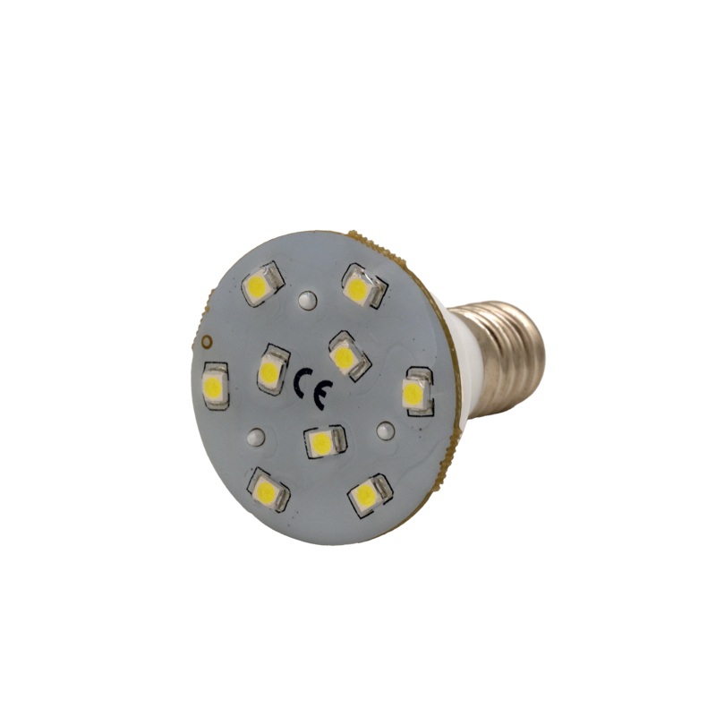 LED LAMP (LARGE) E14 W/12PC WHITE 12VDC [E00052]