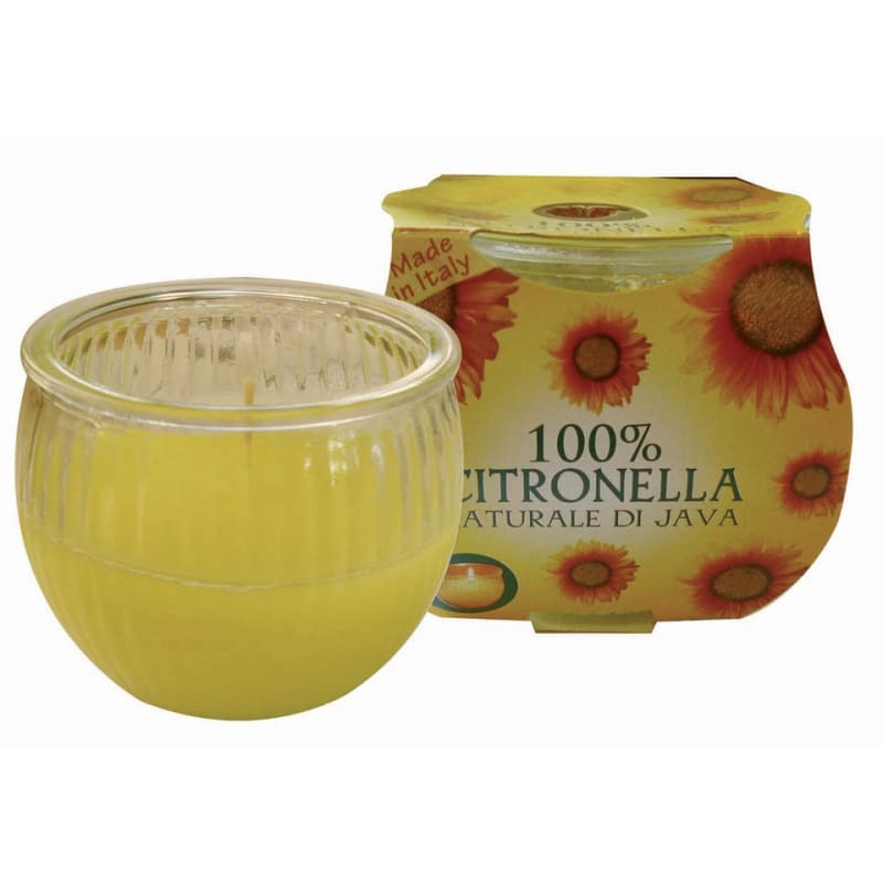 Citronella Jar In Cluster Pack SUN002418