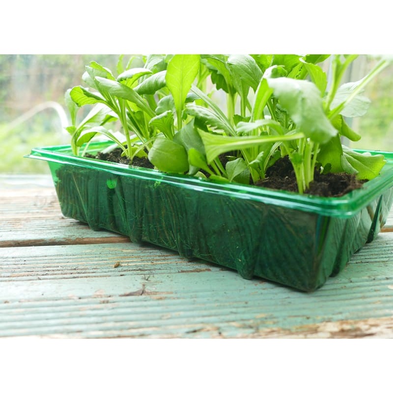 Gro-Sure Visiroot Seed Tray x 4 70200202