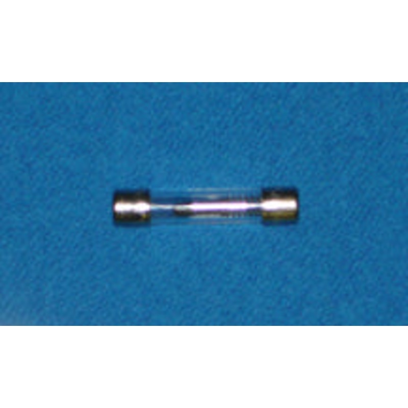 FUSE 2 AMP 250V SLO BLO (MDL-2-R)  (ROHS) [E02062]