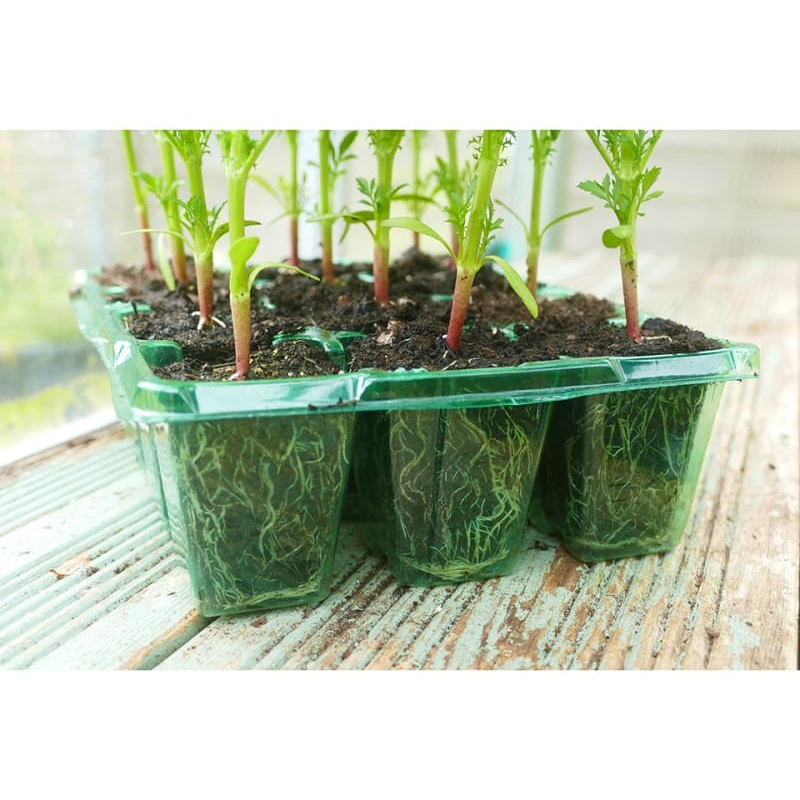 Gro-Sure Visiroot x8 NJ36148862426