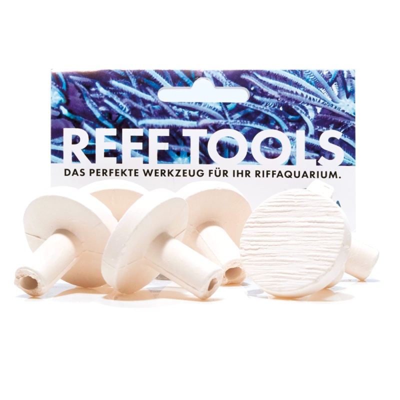 Fauna Marin Maxi Reef Disc  3,3cm Maxi Ablegersteine (6 St.)