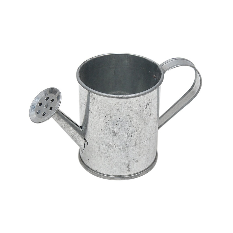 Mini Watering Can 2.5X2 Inch 1Pc Ib