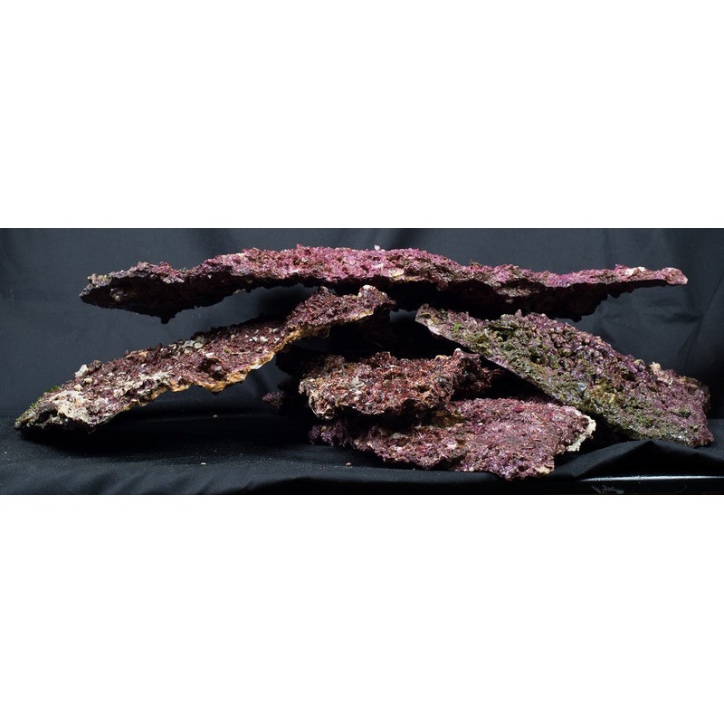 Real Reef Shelf Rock 25 kg Box