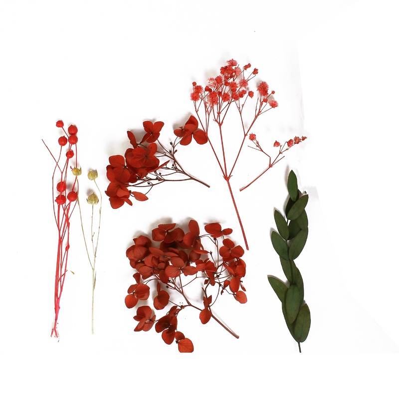 Assorted Natural Dried Flowers Scarlet Garden 1Box Ib