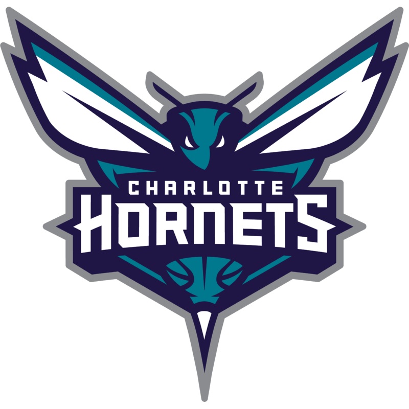 DECAL (REAR CAB SIDE) CHARLOTTE HORNETS [NB7207CHA]