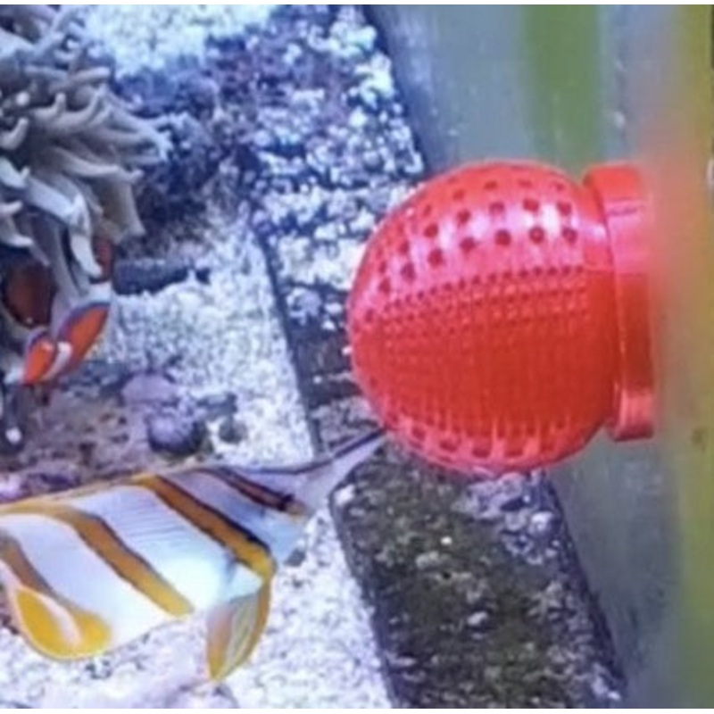 Futterkugel Ftterungshilfe fr Pinzettfische schwarz