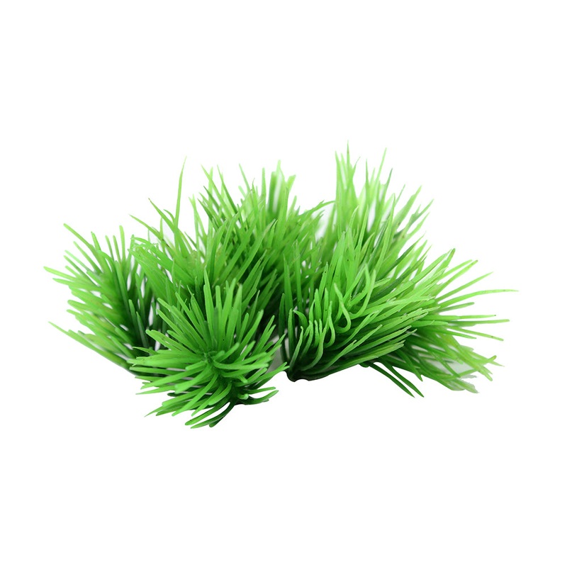 Succulent Grass Green 8pc
