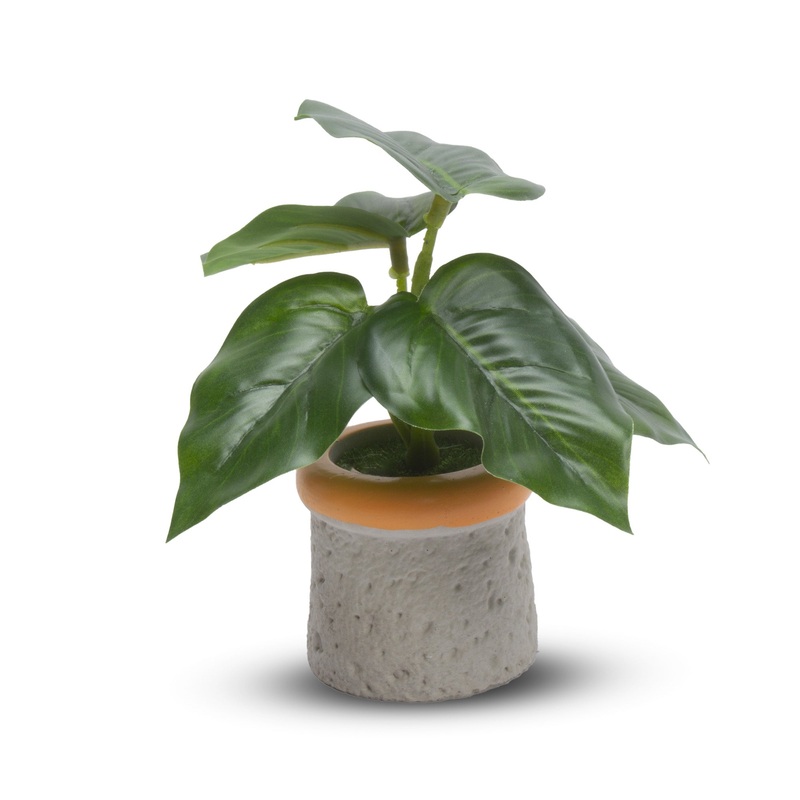 Artificial Green Genie Pothos in pot Dia 7x5inch 1pc