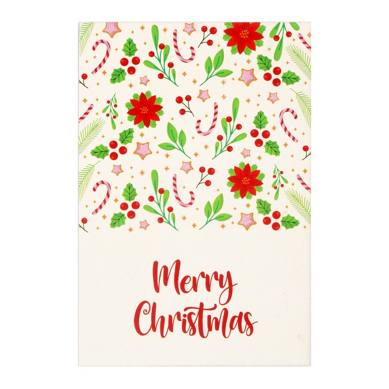 Christmas Greeting Card & Envelope Merry Christmas 4 X 6inch 2pc