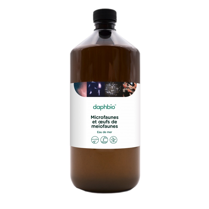 daphbio Microfauna und Mesofauna Eier 500 ml