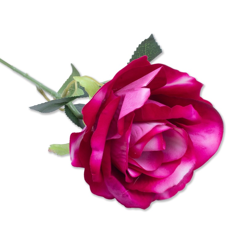 Artificial Flower Rose Lipstick Pink and White 20inch 1Stem