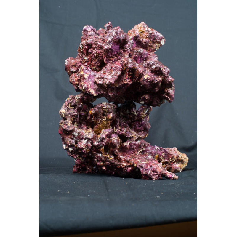 Real Reef Rock Medium/ Large 25 kg Box