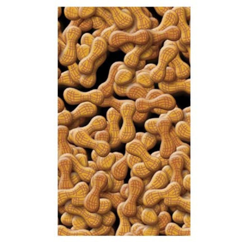 DECAL (BARREL PEANUT) [FZ7010]