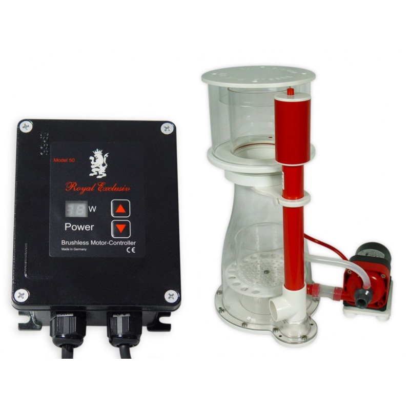 Royal Exclusiv Bubble King Double Cone 250