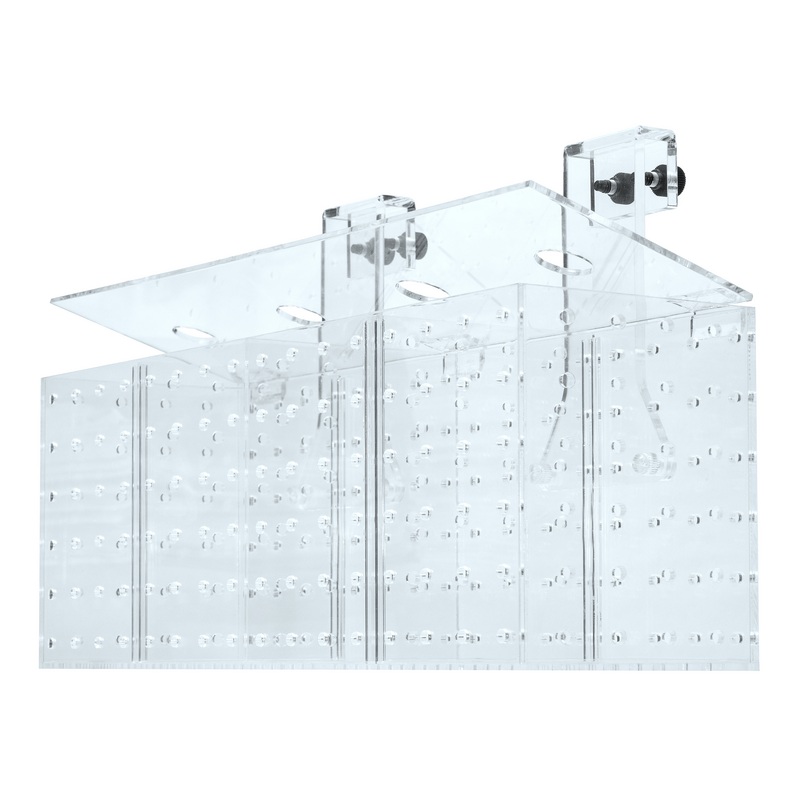 Grotech Akklimatisierungsbox 4-Kammern