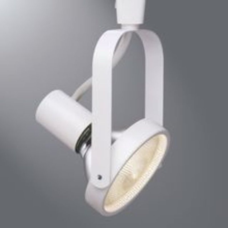 Lazer Gimbal Ring PAR38 White By Halo LZR338P