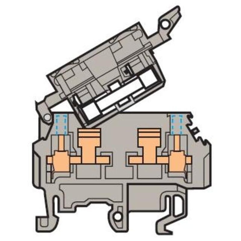 Fuse Holder Terminal Block Type: M 4/8.SFT By Entrelec 0115 662.22